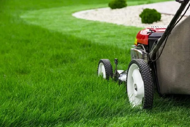 Tracteur tondeuse autoportée garé au bord d'une pelouse fraîchement coupée