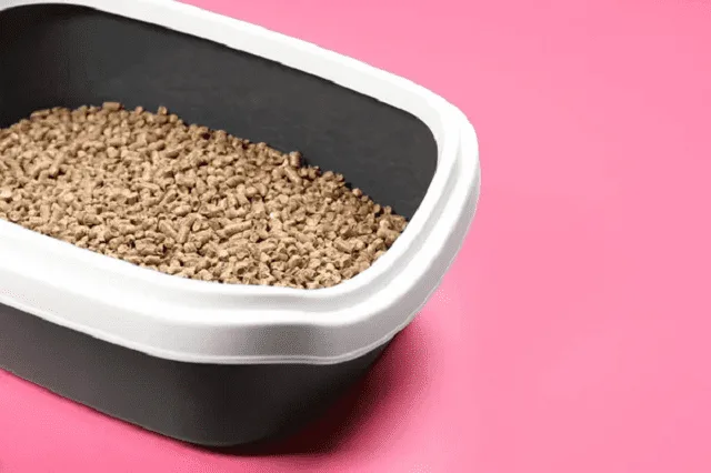 Bac à litière en plastique rempli de granulés, posé au sol