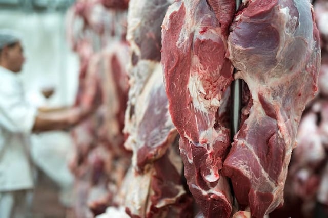 Viande rouge
