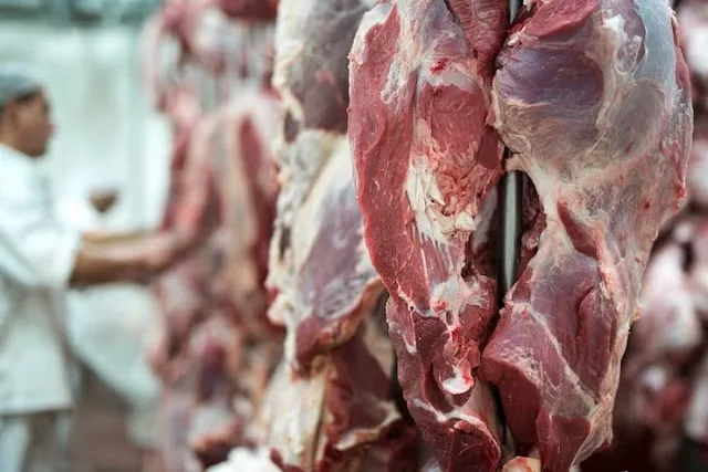 Morceaux de viande rouge présentés sur l’étal d’une boucherie