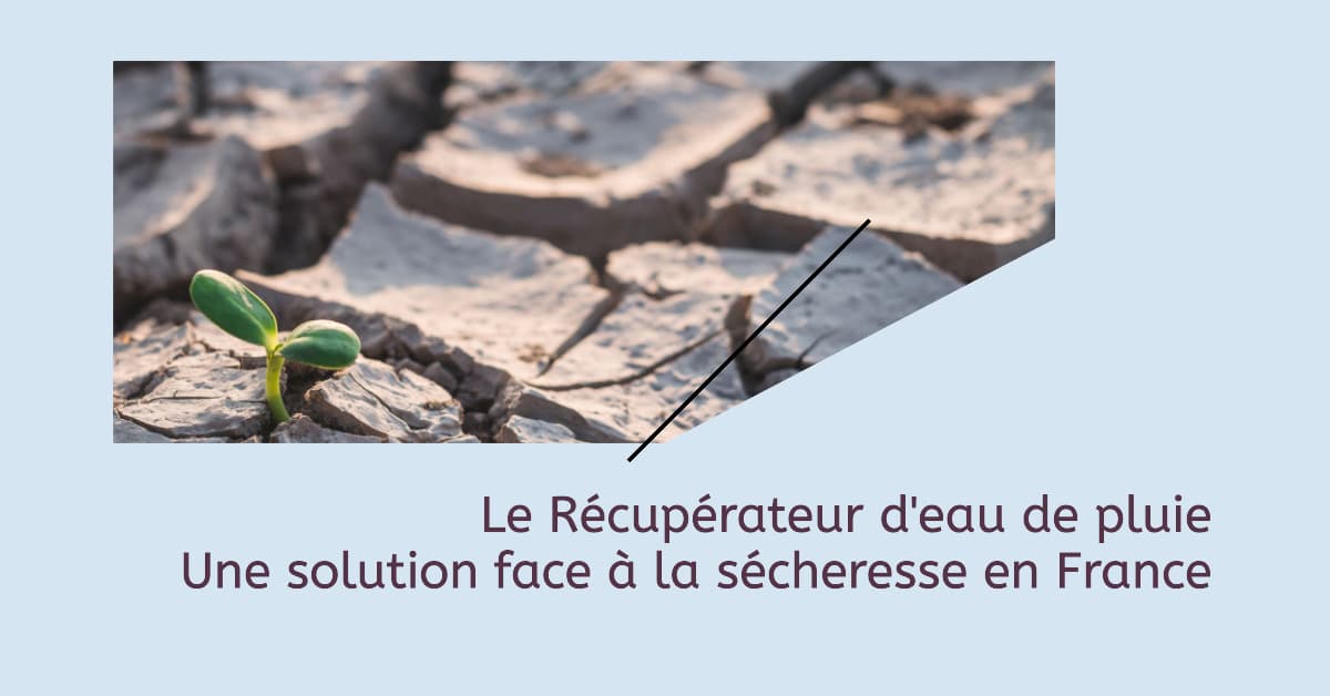 Le Récupérateur d'eau de pluie : une solution face à la sécheresse en France