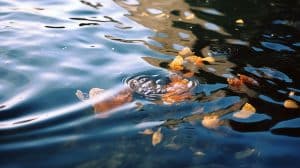 Plus rare, plus polluée : notre eau potable est-elle menacée ?