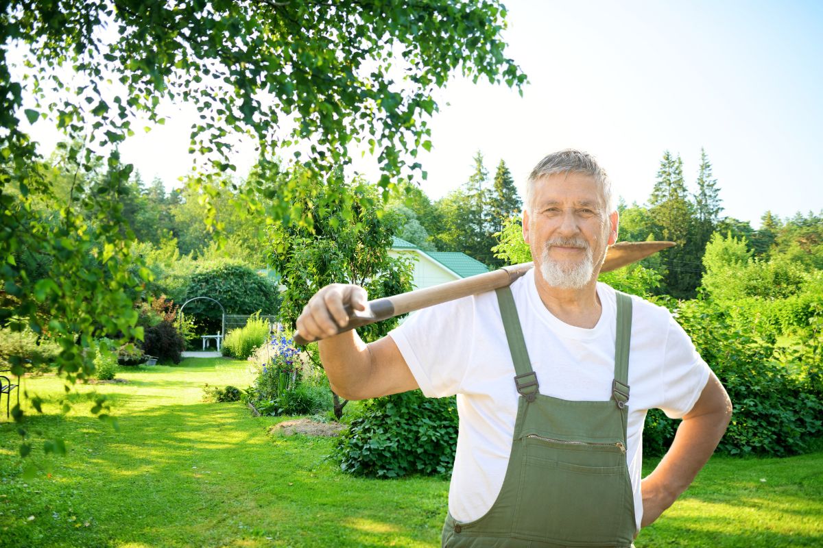 L'automne s'installe doucement avec ses températures en déclin et ses feuilles qui virevoltent. C'est le moment idéal pour préparer votre jardin à la saison froide, tout en anticipant le printemps prochain.