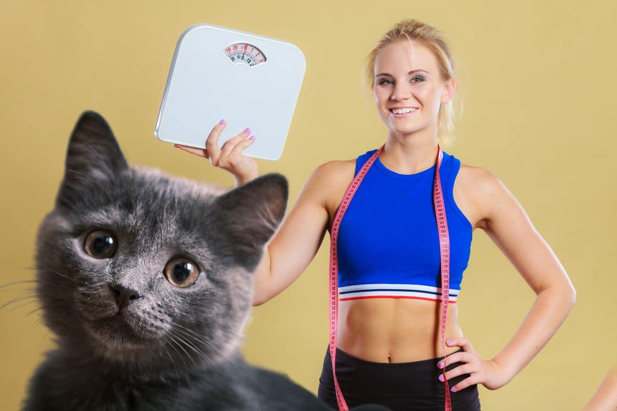 La science de la nutrition sportive nous enseigne que la qualité des protéines, la gestion des glucides et l'équilibre des graisses sont fondamentaux pour le renforcement musculaire.