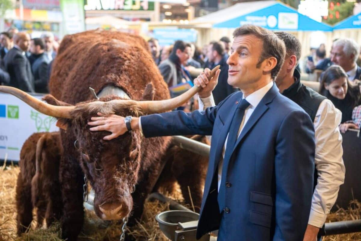 a présence dans un premier temps annoncée des Soulèvements de la Terre a rapidement créé une levée de boucliers d'une partie du monde agricole. Ce jeudi soir, Arnaud Rousseau, le puissant président du principal syndicat agricole français, la FNSEA, avait publiquement décliné l'invitation du chef de l'État à ce rendez-vous à cause de la participation des Soulèvements de la Terre – qui n'avaient d'ailleurs toutefois pas, de leur propre aveu, reçu la moindre invitation officielle. "L'invitation par le PR [président de la République] au Salon de l'Agriculture d'un groupuscule dont la dissolution a été demandée par son propre gouvernement est une provocation inacceptable pour les agriculteurs, a ainsi écrit Arnaud Rousseau sur le réseau social X ce jeudi. J'avais accepté de participer à un débat. Dans ces conditions, je refuse de prendre part à ce qui ne sera qu'une mascarade." La pression s'accentue alors sur l'Élysée, alors que le syndicat a soutenu la contestation des agriculteurs partout en France cet hiver.